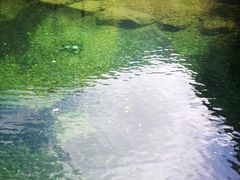 -白云源风景区