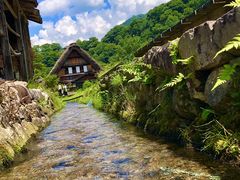 -白川乡与五箇山的合掌构造村落