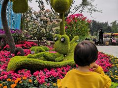 -成飞公园