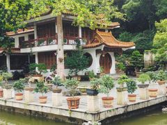-深圳仙湖植物园