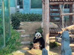 -大连森林动物园