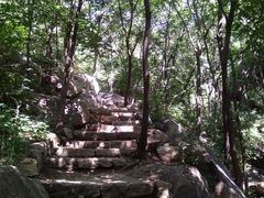 -大岭沟猕猴桃谷风景区