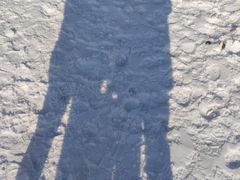-绿野森林乐园冰雪季