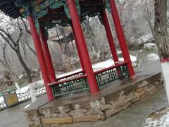-文瀛公园