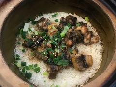 -红星光发煲仔饭(大石街店)