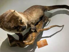 -陕西自然博物馆