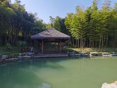 -兰亭风景区