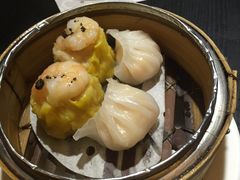 -糖朝(尖沙咀店)