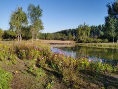 -东郊湿地公园