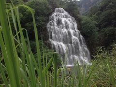 景点-华蓥山天意谷景区