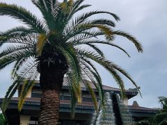 -海南清水湾莱佛士酒店