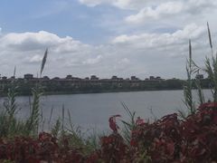 -美的鹭湖森林度假区