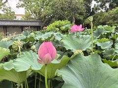 -龚家花园农家乐休闲别墅