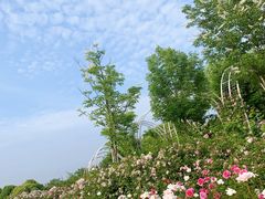 -尚贤河湿地
