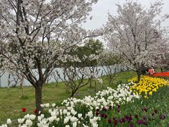 -苏州上方山国家森林公园