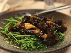 -同乐经典(乌节路店)