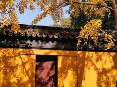 -西园戒幢律寺