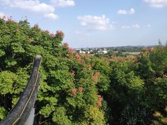 -梁鸿国家湿地公园