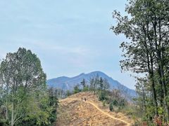 -素山寺森林公园