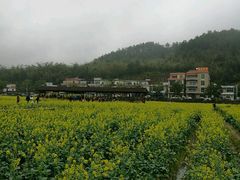 -红山村