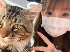 -COLOR PETS 撸猫馆·购猫·猫咖(长风大悦城店)