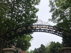 -青岛德国总督楼旧址博物馆