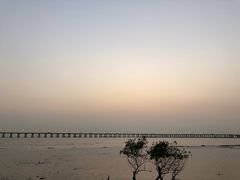 -宝安西湾红树林湿地公园