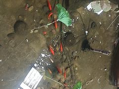 -和源祥·日照菜扛把子(万平口一店)