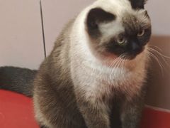 -天虹购物中心(深圳龙华店)