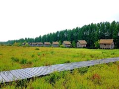 -塞罕坝国家级自然保护区