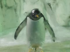 -南昌海洋公园