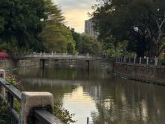 -晓港公园