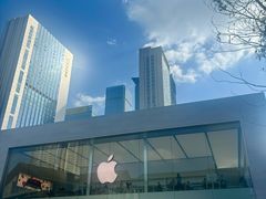 -Apple零售店(成都太古里店)
