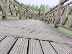 -中国红海