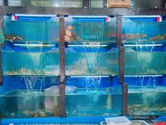 水产区-老东镇啤酒屋海鲜加工·蒸汽海鲜·海鲜烧烤(台东店)