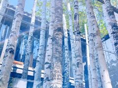 -Metal hands·铁手咖啡