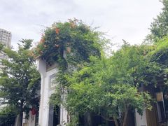 -鲤院·新中式美学·庭院餐厅(夫子庙店)