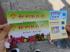 -神州牡丹园
