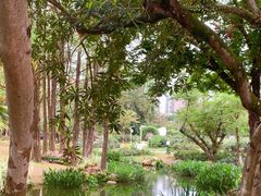 -人民公园(罗湖区)