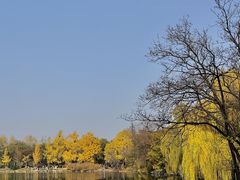 -燕春园中餐厅-北大博雅国际酒店