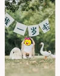 -大连棒棒糖儿童摄影(熊洞街店)