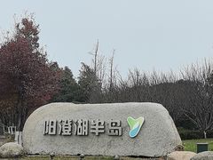-阳澄湖半岛旅游度假区