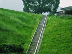 -龙坞茶村