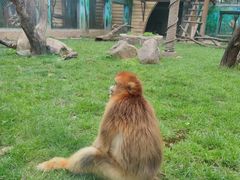 -西安秦岭野生动物园