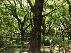 -上海方塔园