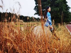 -羊亭河湿地公园