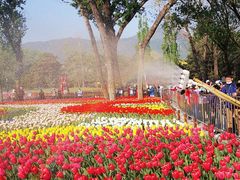 -国家植物园南园