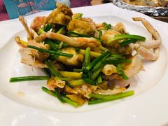 -欢乐海岸美食联盟