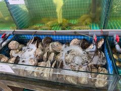 -双天海鲜楼 · 43年老字号