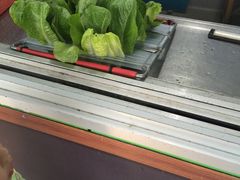 -悉尼海洋生物水族馆